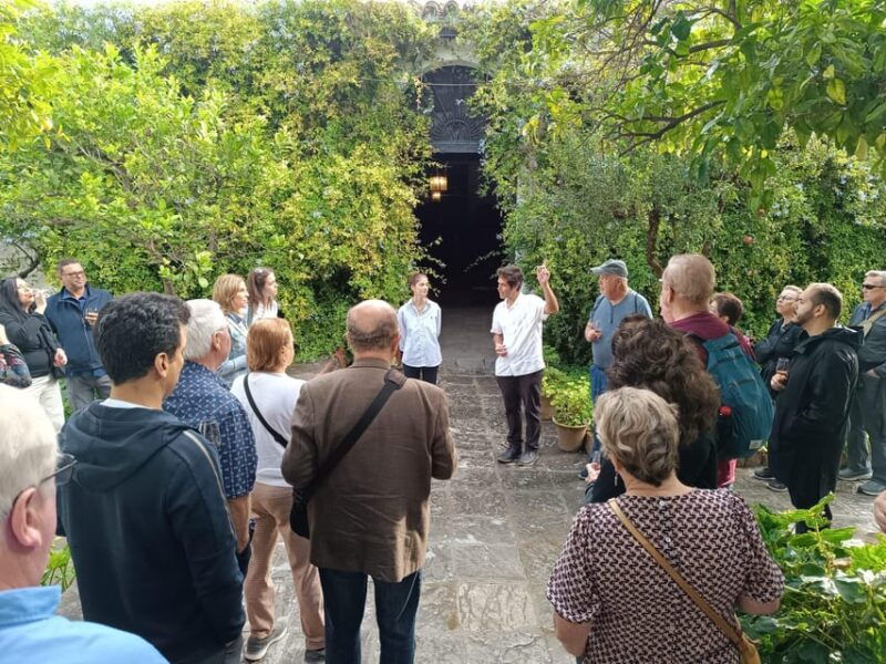 Bodega Halcón Winery Tour With Wine Tasting South of Seville - Good To Know