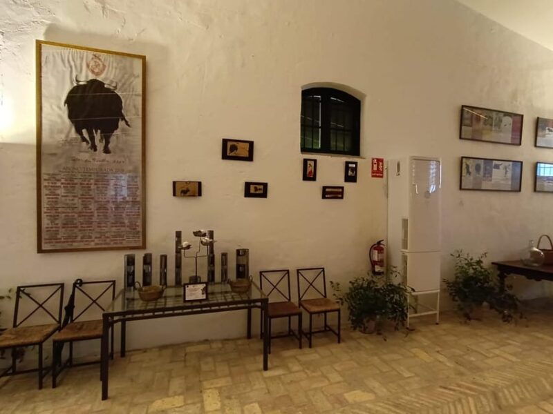 Bodega Halcón Winery Tour With Wine Tasting South of Seville - Winery History and Significance