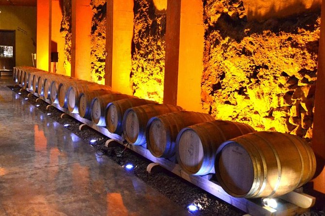 Bodegas Monje Winery Ticket W/Wine Tasting & Mojo Sauce Workshop - Traveler Photos