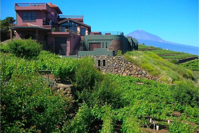 Bodegas Monje Winery Ticket W/Wine Tasting & Mojo Sauce Workshop - The Sum Up