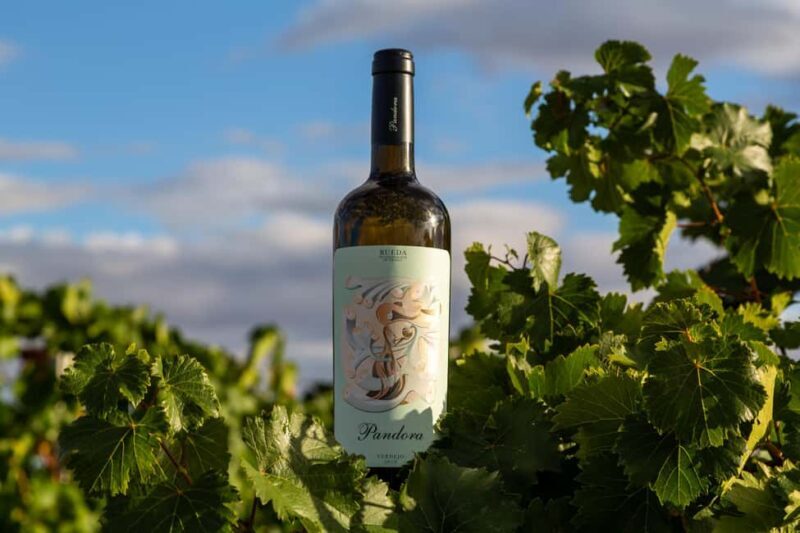 BODEGAS PANDORA: tour through the vineyards and winery with wine tasting. - Good To Know