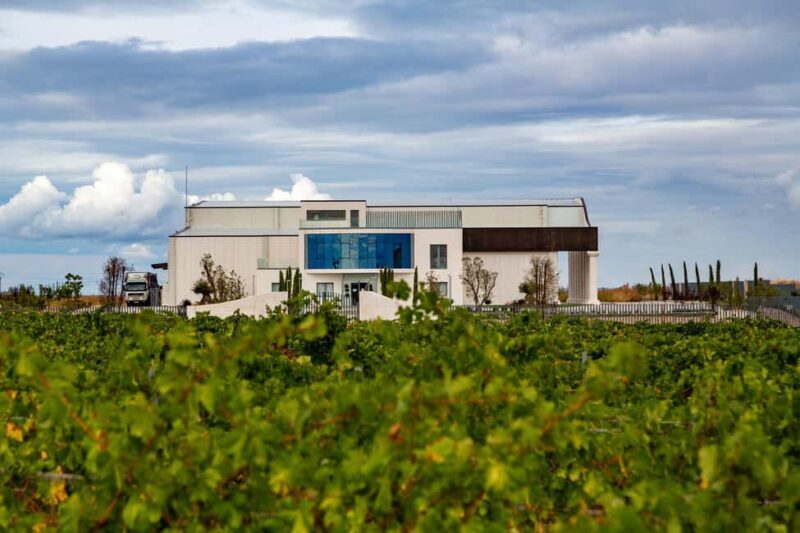 BODEGAS PANDORA: tour through the vineyards and winery with wine tasting. - Final Thoughts