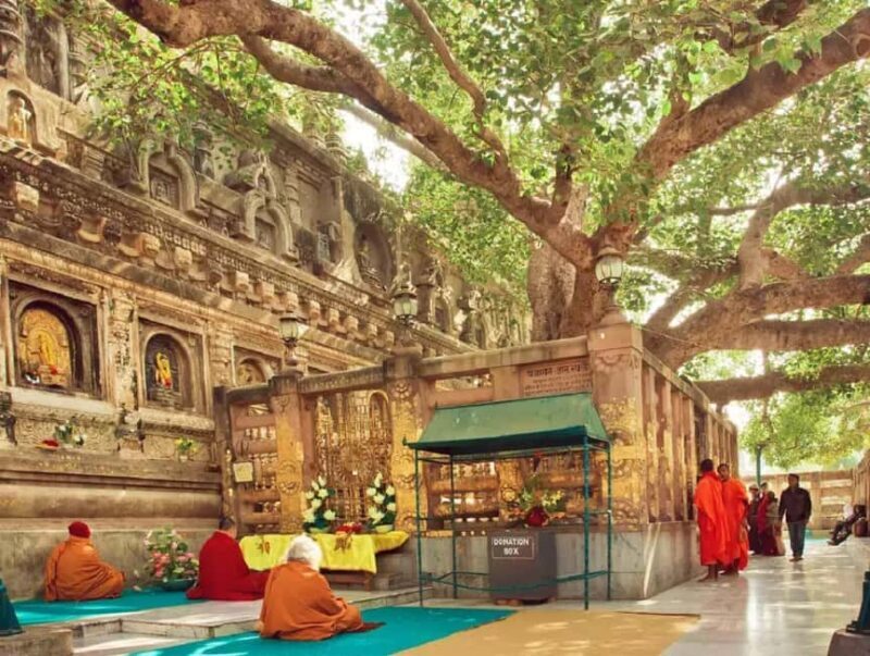Bodhgaya: Buddhist Pilgrimage Temple & Monastery Day Tour - Good To Know
