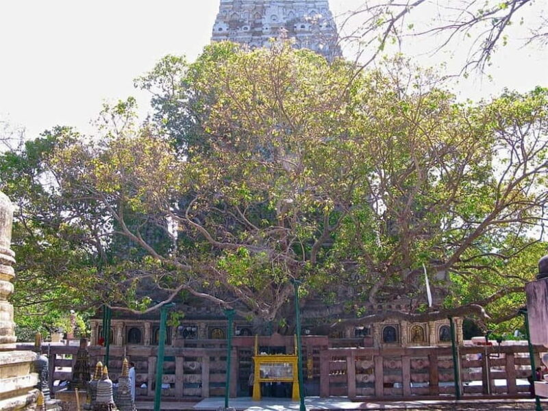 BODHGAYA FULL DAY TOUR - An In-Depth Look at the Bodhgaya Full Day Tour