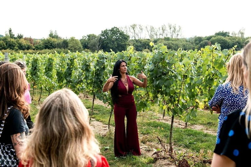 Bodiam: Vineyard Tour and Wine Tasting Experience - The Itinerary Breakdown