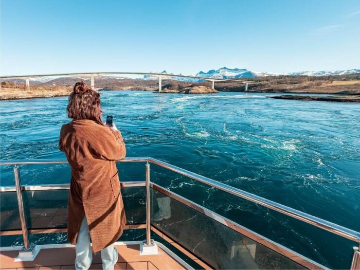 Bodø: Arctic Light Cruise - Good To Know
