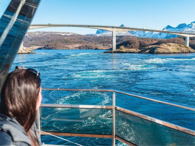 Bodø: Arctic Light Cruise - Inclusions