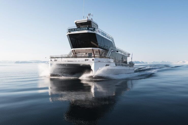 Bodø: Northern Lights Cruise - Good To Know