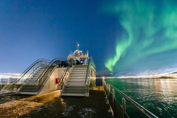 Bodø: Northern Lights Cruise - Meeting Point