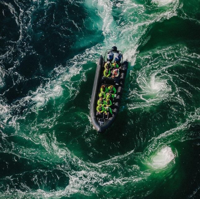 Bodø: RIB to Saltstraumen With a Sea Eagle Safari - Experience Highlights