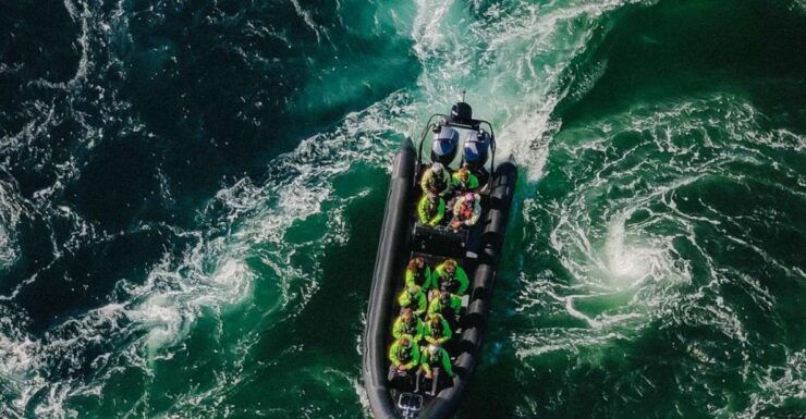 Bodø: RIB to Saltstraumen With a Sea Eagle Safari - Trip Details