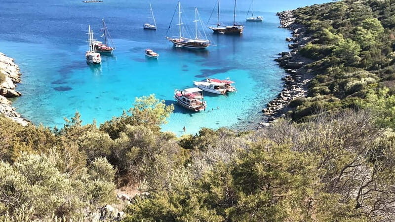 Bodrum: Boat Tour for Mein Schiff Cruise Passengers - Good To Know