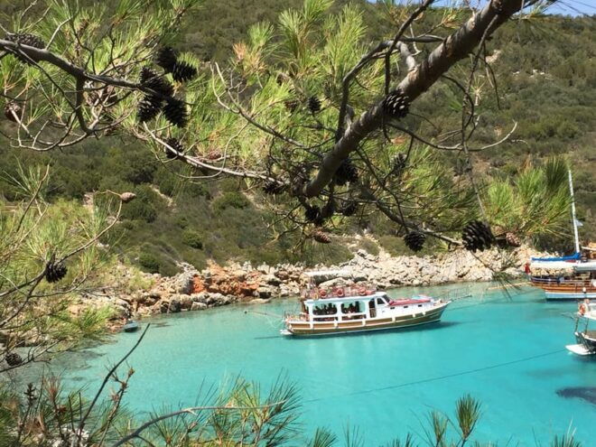 Bodrum: Boat Tour for Mein Schiff Cruise Passengers - Important Information
