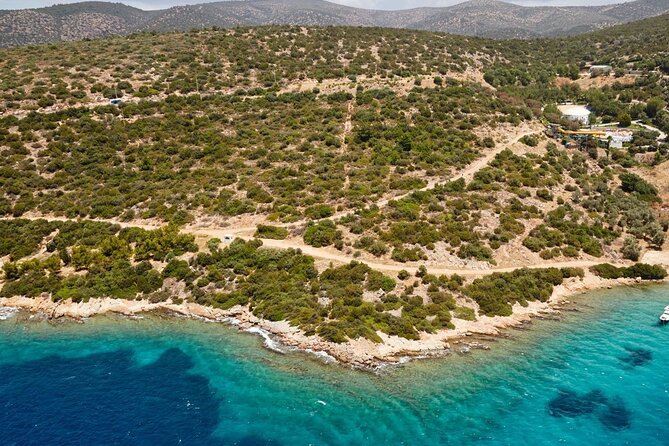 Bodrum Boat Trip With Lunch - Professional Tour Guide