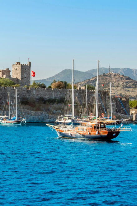 Bodrum Cleopatra & Orak Island Mix Tour by Boat - Dining Experience