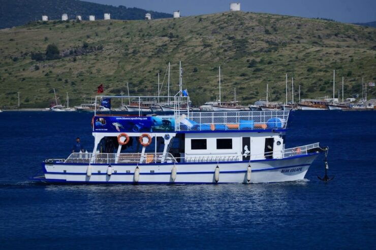 Bodrum Diving Day for Advanced and Beginner Divers - Key Points
