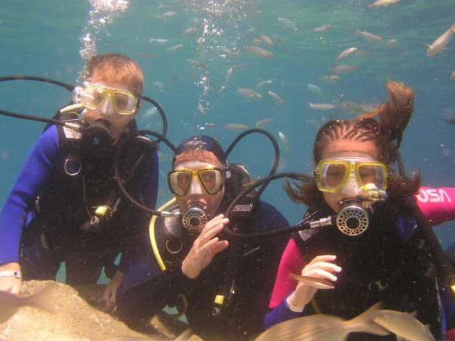 Bodrum Diving Day for Advanced and Beginner Divers - Equipment and Instructor Support