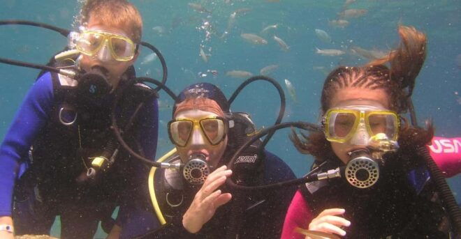 Bodrum Diving Day for Advanced and Beginner Divers - Itinerary for a Perfect Day