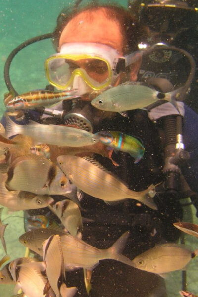 Bodrum Diving Day for Advanced and Beginner Divers - Booking and Cancellation Policies