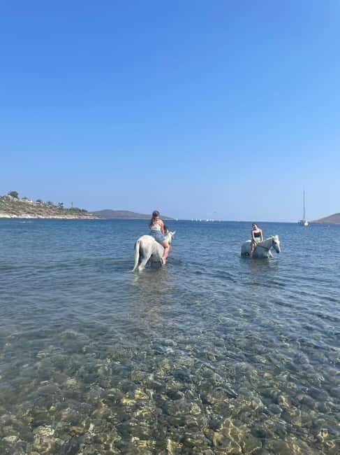 Bodrum Horse Riding Adventure - What to Expect from the Bodrum Horse Riding Adventure