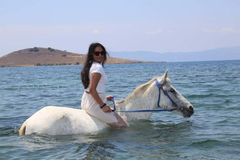 Bodrum Horse Riding Adventure - The Sum Up: Is It Worth It?