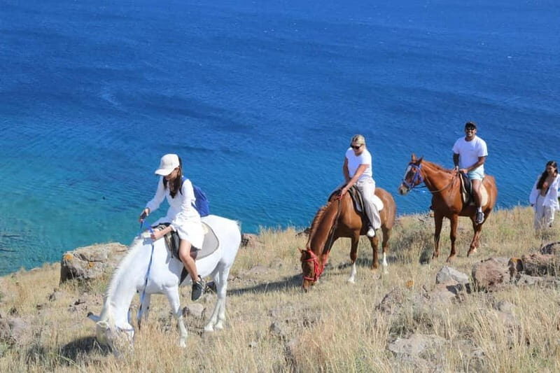 Bodrum Horse Riding Adventure - FAQ