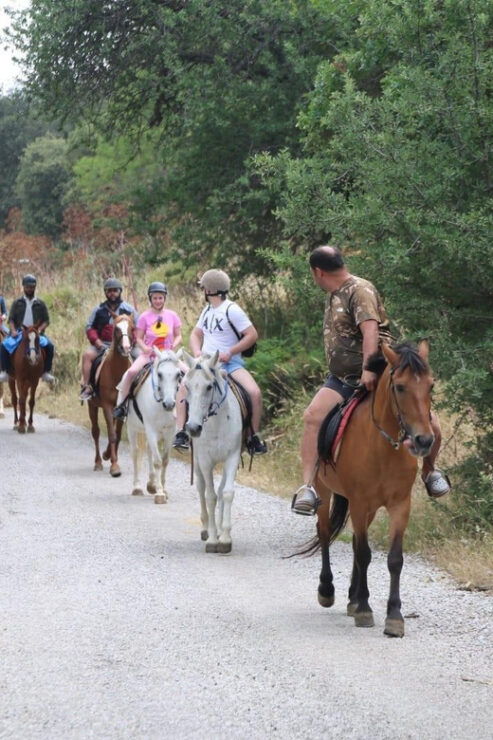 Bodrum Horse Riding Adventure - Pricing Details