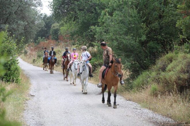 Bodrum Horse Riding Adventure - Group Size Information