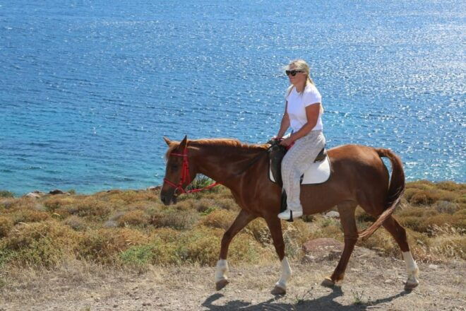 Bodrum Horse Riding Adventure - Pickup Locations