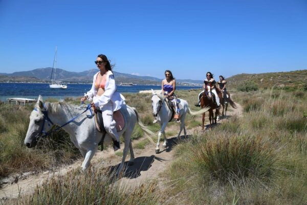 Bodrum Horse Riding Adventure - Experience Highlights