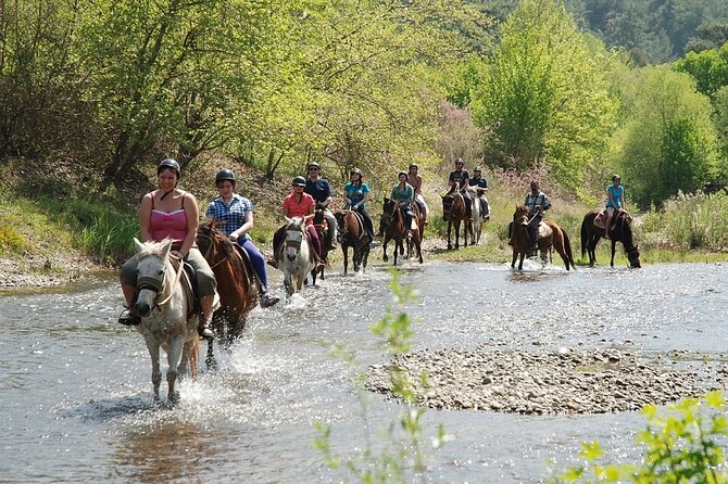 Bodrum Horse Riding Experience W/ Hotel Transfer Service - Traveler Requirements
