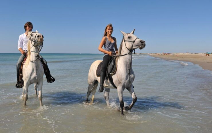 Bodrum: Horseback Riding Experience - Activity Details