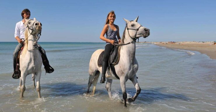 Bodrum: Horseback Riding Experience - Experience Highlights