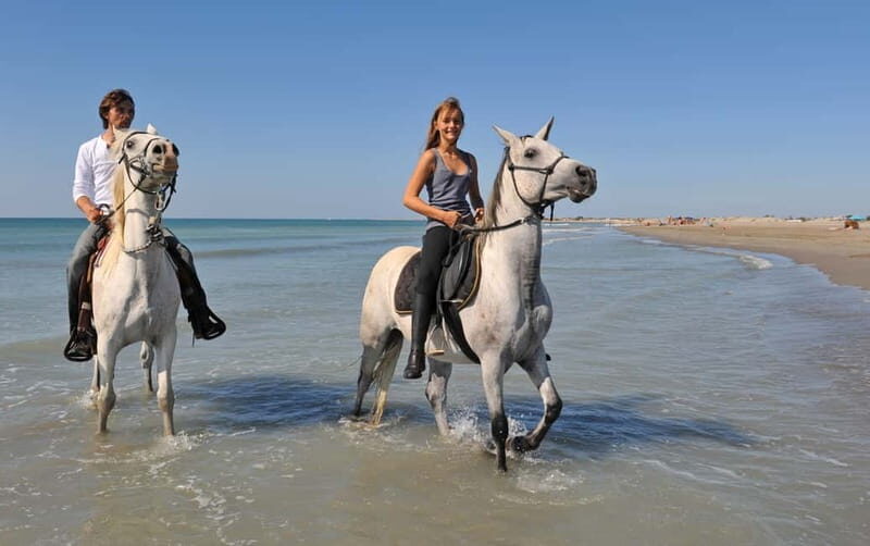Bodrum: Horseback Riding Experience with Hotel Transfer - Authentic Insights from Reviews