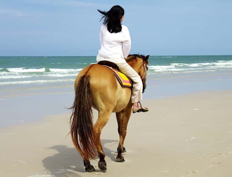 Bodrum: Horseback Riding Experience with Hotel Transfer - Final Thoughts: Is It Worth It?