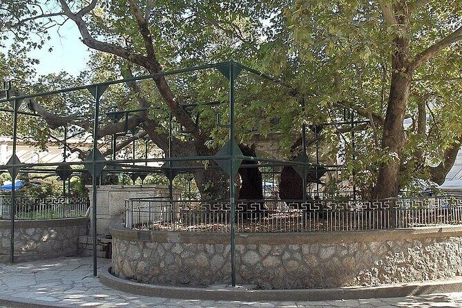 Bodrum-Kos-Bodrum Same Day Return Ferry Ticket from Cruise Port - The Sum Up