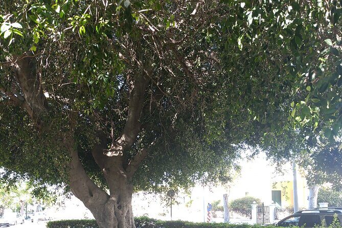 Bodrum Kos Same Day Return Ferryboat Ticket from the castle port - Authentic Traveler Insights