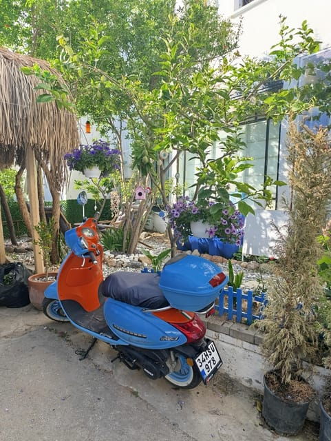 Bodrum Like a Local by Walk - Discovering Local Cuisine