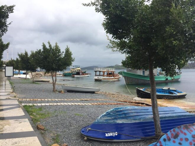 Bodrum Like a Local by Walk - Experiencing Bodrum Cafes
