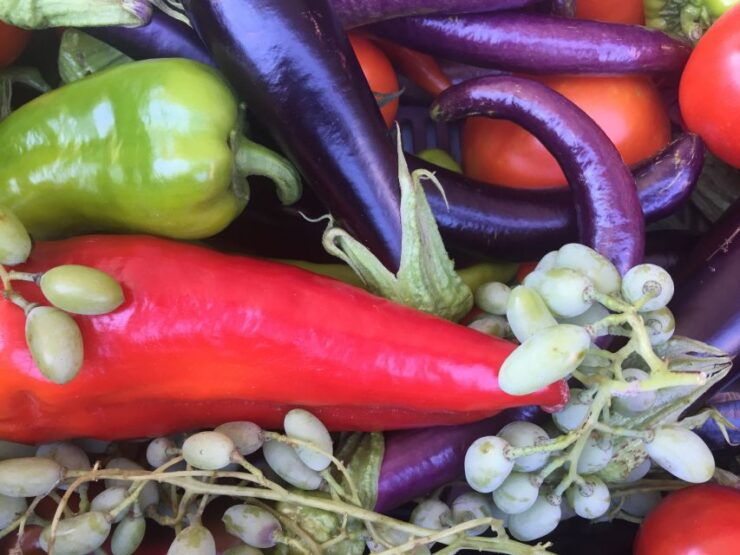 Bodrum Market Visit and Cooking Class - Activity Overview