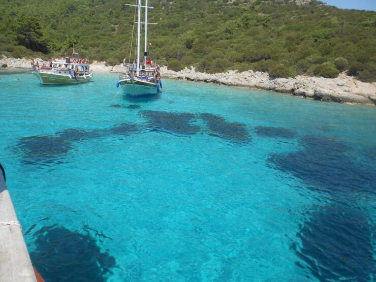 Bodrum: Orak Island Boat Trip With Lunch & Optional Transfer - Key Points