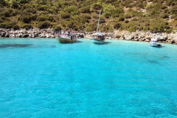 Bodrum: Orak Island Boat Trip With Lunch & Optional Transfer - Pricing and Booking Information