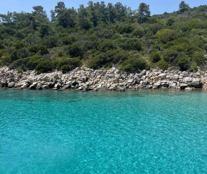 Bodrum: Orak Island Boat Trip With Lunch & Optional Transfer - Customer Feedback and Ratings