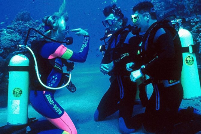 Bodrum Scuba Diving Tour With Lunch & Roundtrip Transfer - Directions and End Point