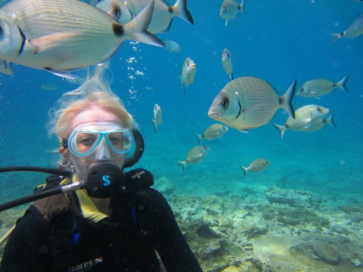 Bodrum: Scuba Diving Trip With Lunch - Key Points