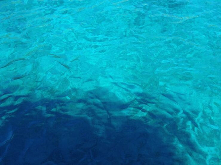 Bodrum: Scuba Diving Trip With Lunch - Experience Highlights