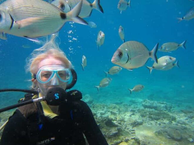 Bodrum: Scuba Diving Trip With Lunch - Inclusions and Logistics