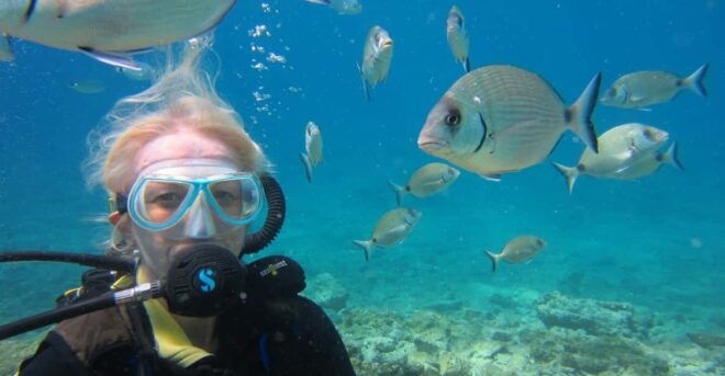 Bodrum: Scuba Diving Trip With Lunch - Customer Reviews and Ratings