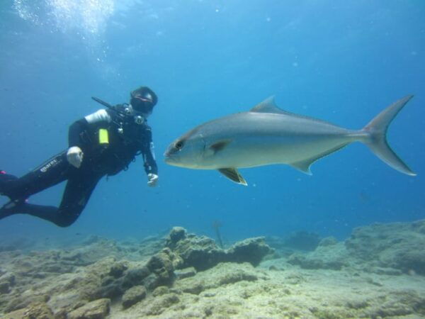 Bodrum: Scuba Diving Trip With Lunch - Frequently Asked Questions