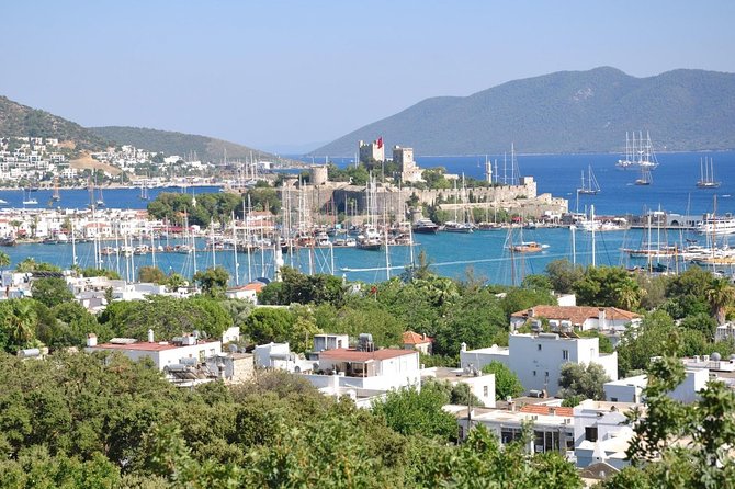 Bodrum Shore Excursion: Private Bodrum Express Sightseeing Tour - Questions and Help